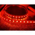 Factoiry preis innen in der Outdoor -Dekoration RGB Strip Light